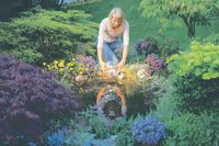 Światło i woda po zmierzchu