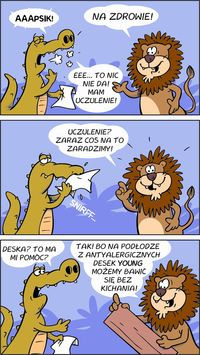 Deska YOUNG marki Barlinek do pokoi dziecięcych