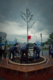 Prezent dla Ziemi - druga edycja akcji prowadzonej przez firmę Wilo Polska wspólnie z fundacją Nasza Ziemia