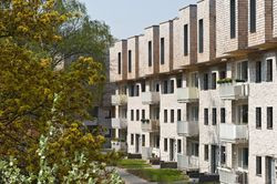 Swoim wyglądem fasada współgra obecnie z drzewami otaczających ją przestrzeni zielonych. Dzięki tej koncepcji domy zyskały nazwę Treehouses.