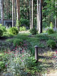 Kominki wentylacyjne napowietrzają rury drenażu