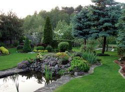 Planowanie ogrodu. Kolejność robót