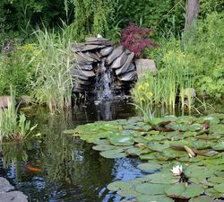 Prawie 4000 m2 soczystej zieleni na piasku