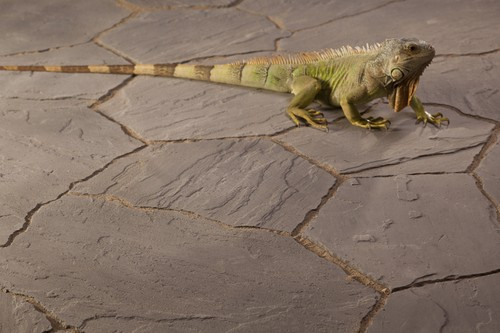 Nowe płyty panelowe kamienia ciosanego Realit firmy BRUK-BET