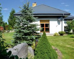 Dach pokryty jest grafitową blachodachówką. Właściciele dopasowali do niej jasny tynk akrylowy. Dziś drewniane okna zamieniliby na plastikowe, ponieważ drewniane już wymagają odnowienia. Są zadowoleni z zewnętrznych rolet, które izolują i zacieniają wnętrza dzienne