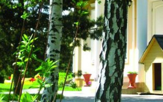 Kolory na skraju puszczy