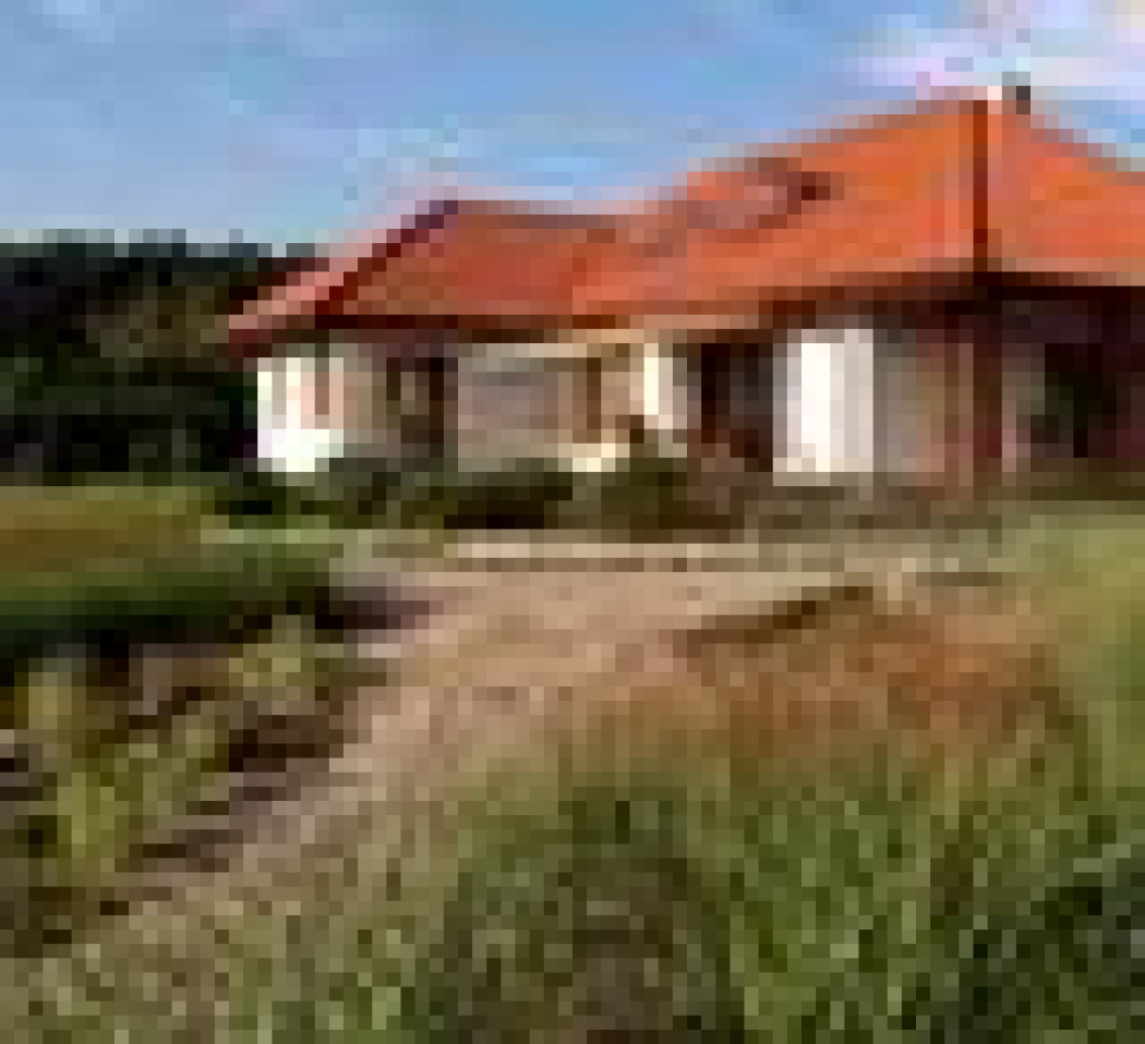 Z rozmachem i dystansem... do sąsiadów