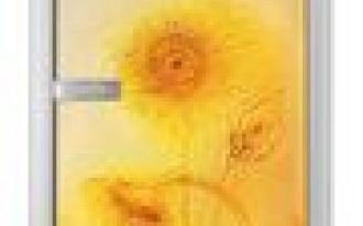 Girasole czyli słoneczniki na drzwiach szklanych