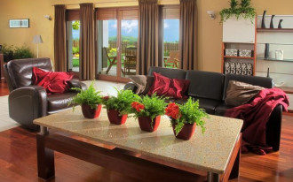 Dębowe z charakterem