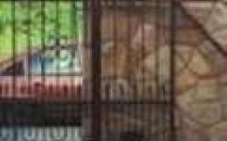 Dobra brama chodzi sama...