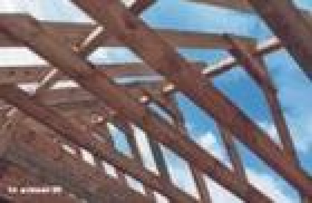 Dachy - jak kręgosłup