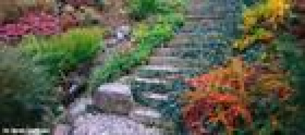 Schody w ogrodzie - pokonywanie wysokości