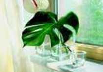 Parapety wewnątrz domu