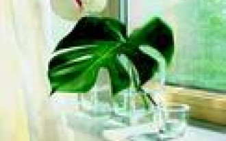 Parapety wewnątrz domu