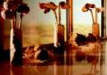 Nasze okno na świat