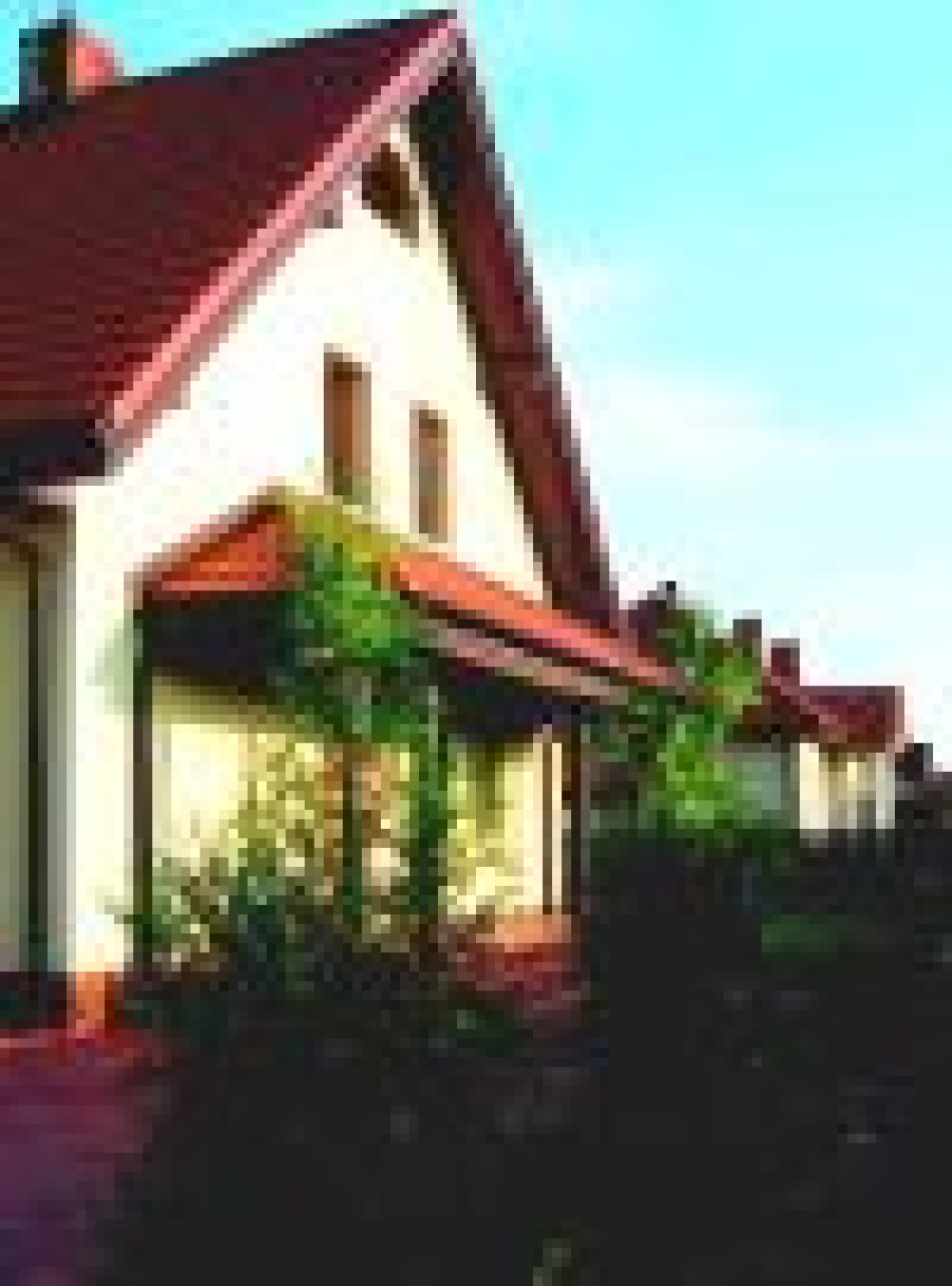 Pomiędzy dwoma ogrodami