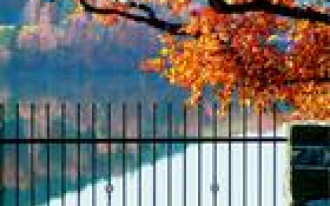 Ogrodzenie na 11 sposobów