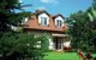 W czereśniowym sadzie