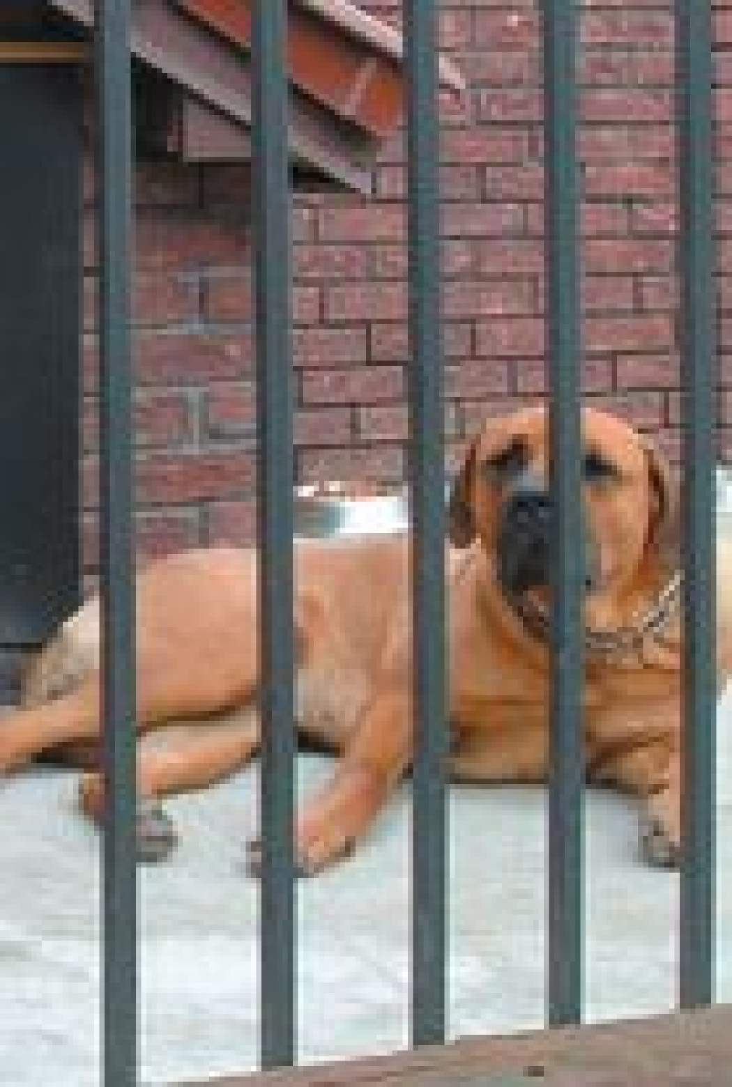 Złodziejom wstęp wzbroniony