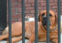 Złodziejom wstęp wzbroniony