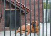 Nie wpuścić intruza