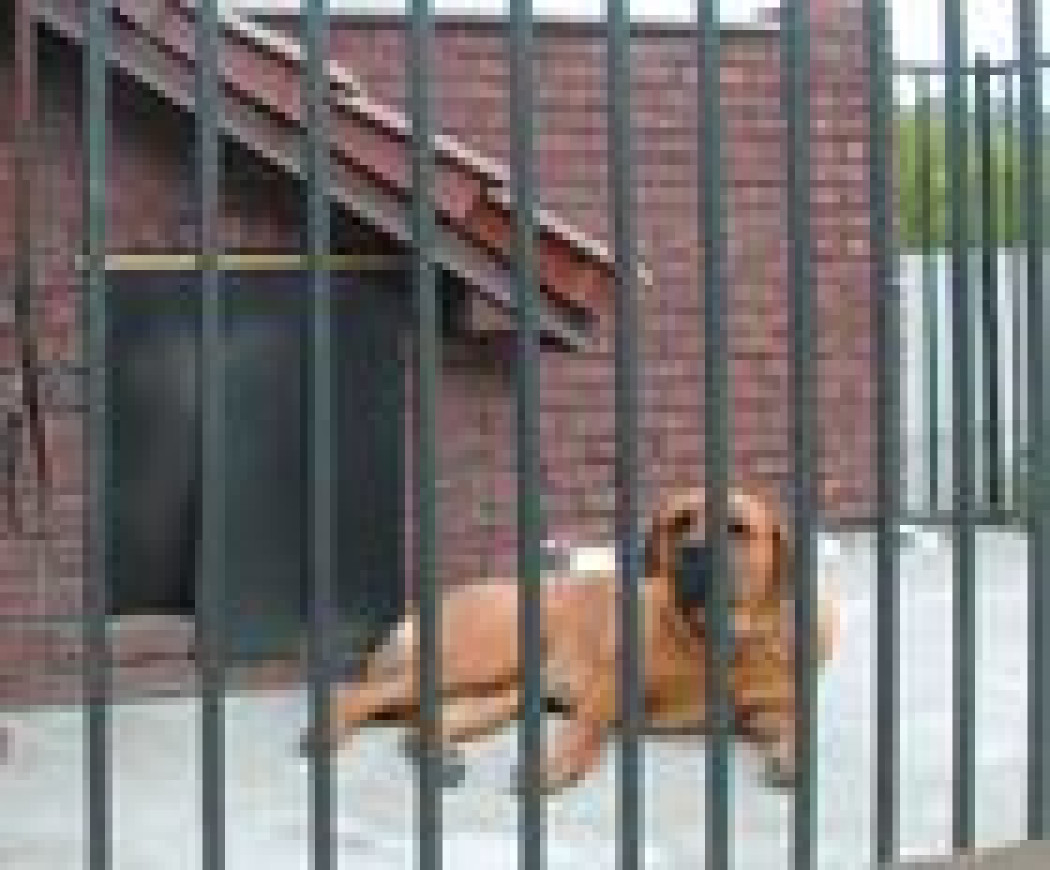 Nie wpuścić intruza