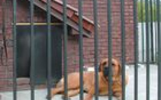 Nie wpuścić intruza