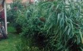 Co zrobić ze ściekami?