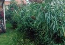 Co zrobić ze ściekami?