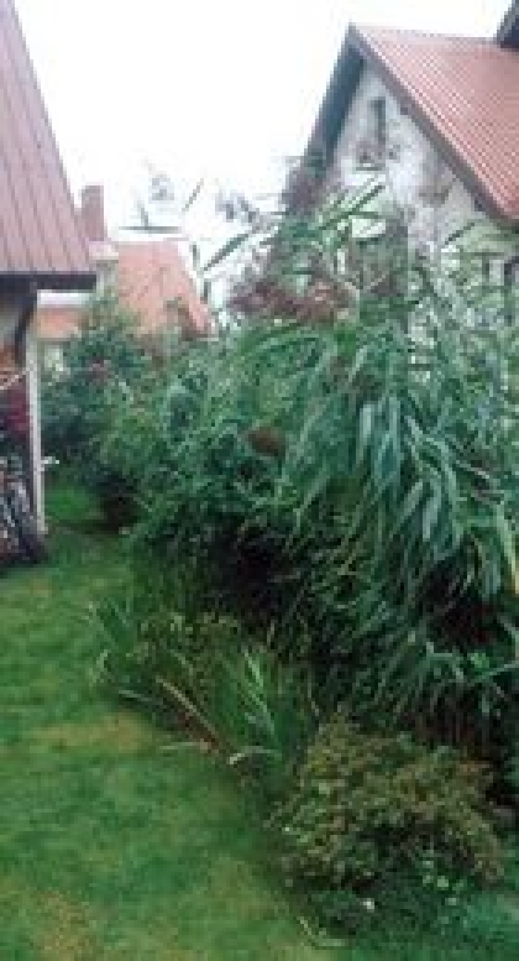 Co zrobić ze ściekami?