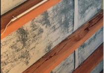 Dylematy - Stan surowy