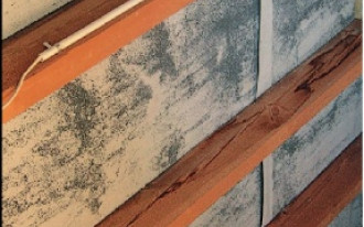 Dylematy - Stan surowy