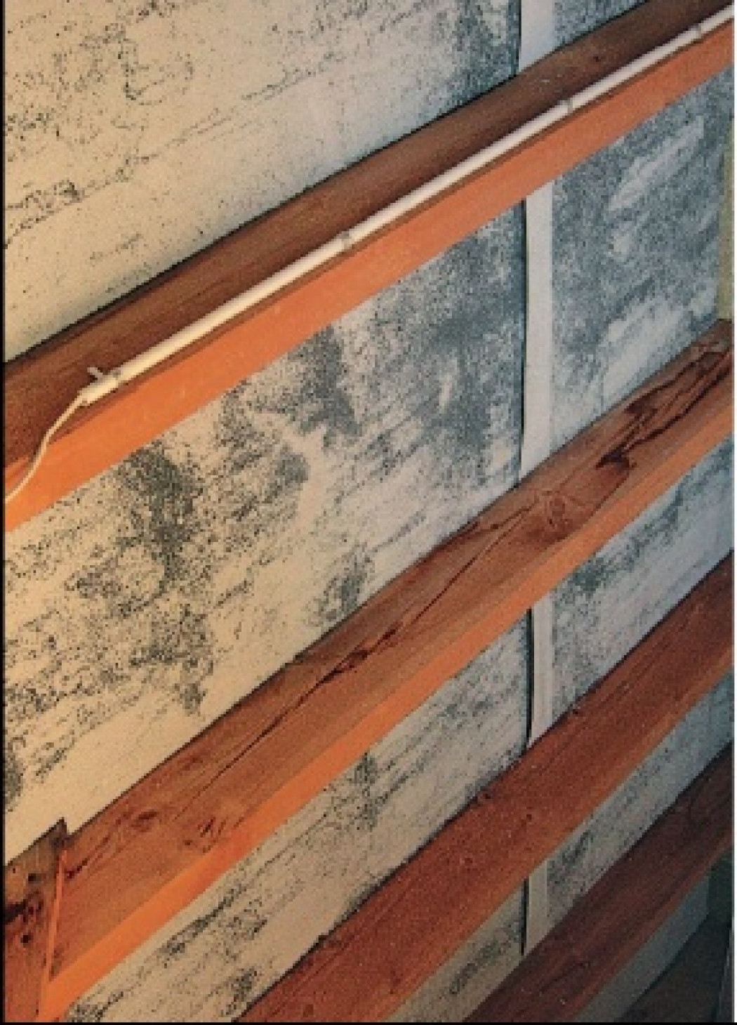 Dylematy - Stan surowy Dylematy - Stan surowy