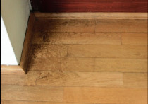 Dylematy inwestora - Wykańczanie