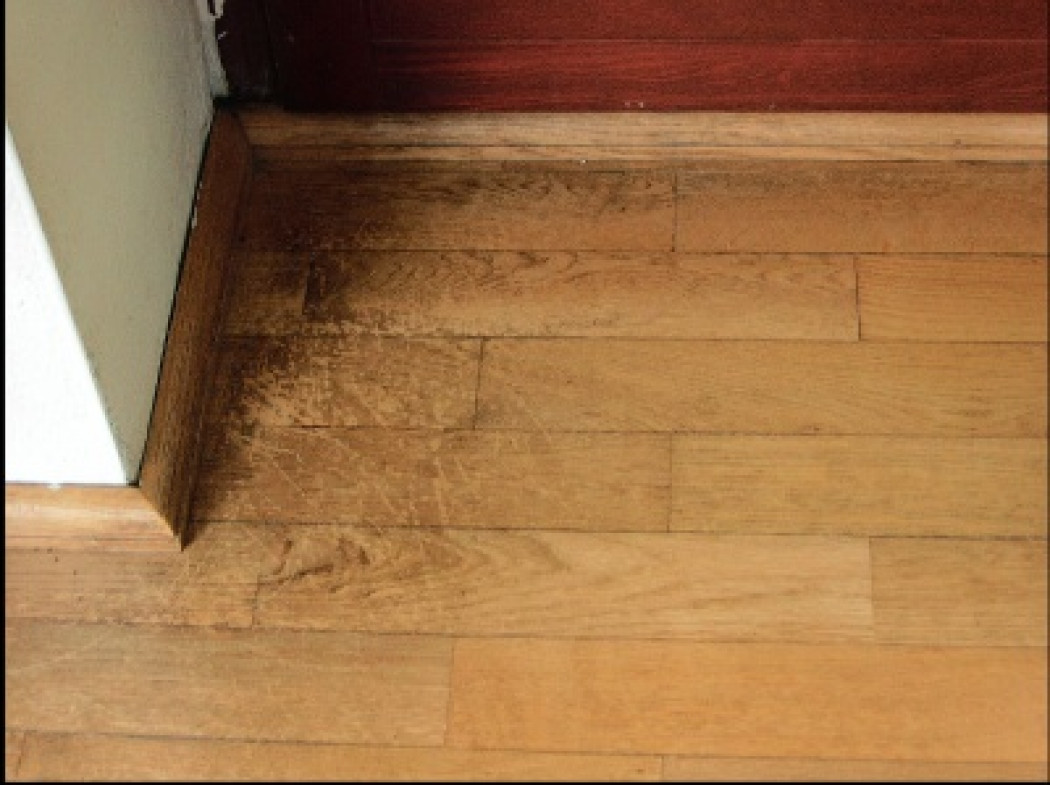 Dylematy inwestora - Wykańczanie