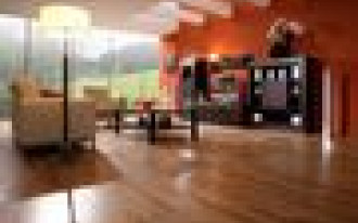 Naturalna barwa dębu