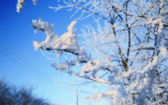 Uroki ogrodu jesienią i zimą