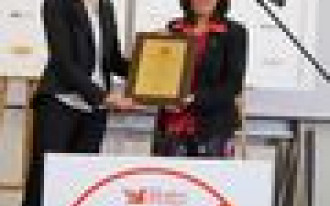 Dulux - Produkt Roku 2007