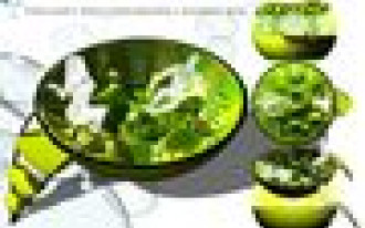 SPA-ART 2007 rozstrzygnięty