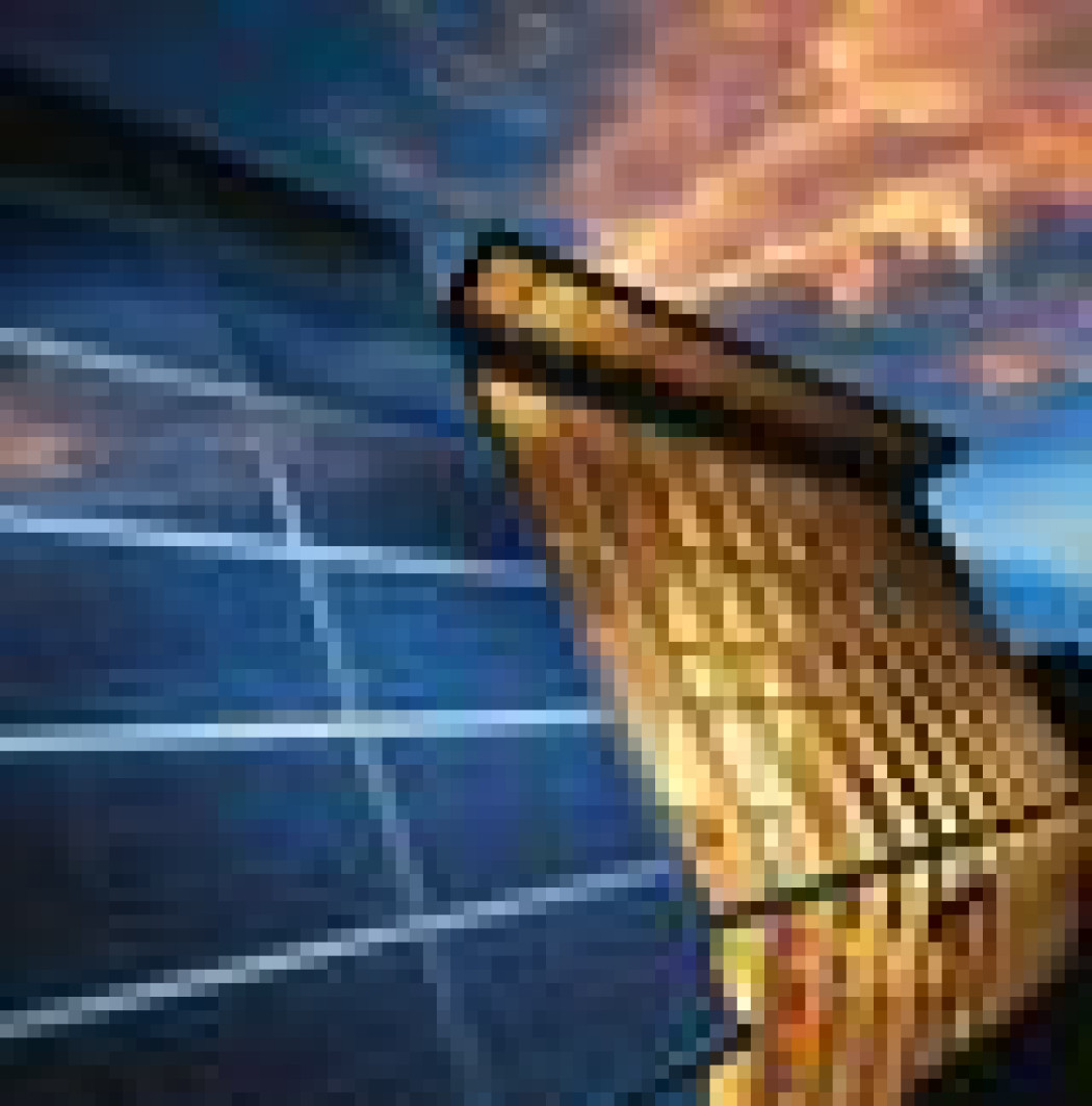 Kolektory słoneczne