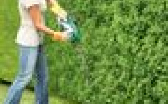 Z sekatorem na podbój ogrodu 