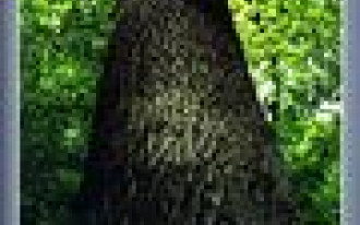 Zgodnie z rytmem natury