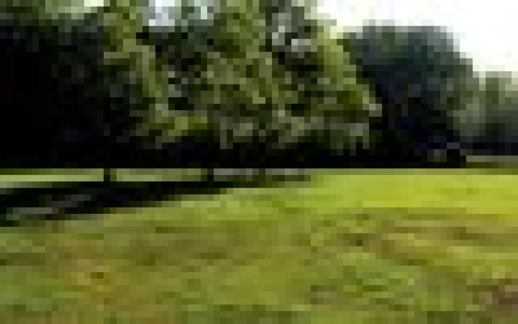 Jak się (nie) robi trawnik