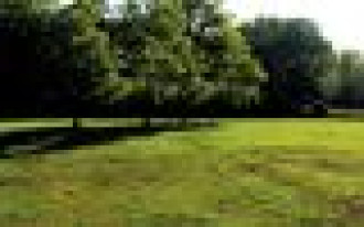 Jak się (nie) robi trawnik