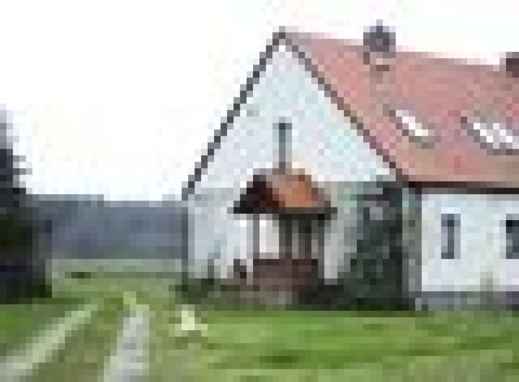 Strzał w dziesiątkę