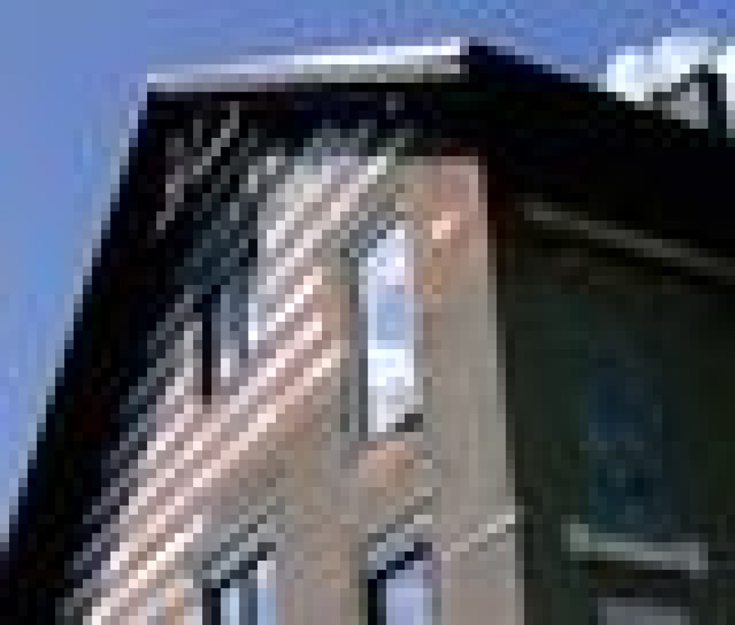 Podpatrując naturę