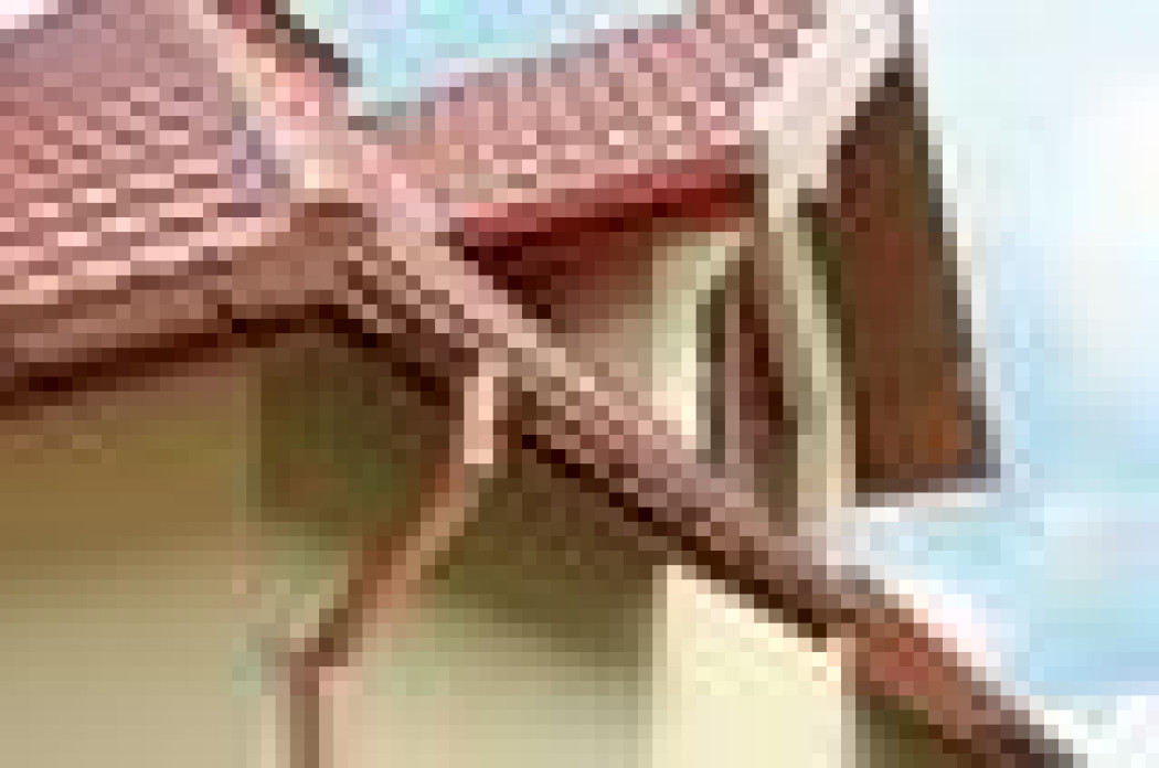 Rynny i rury spustowe