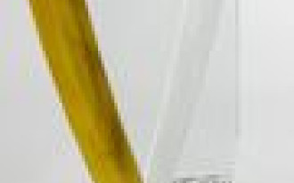 Sklepy KOMFORT SA firmą roku