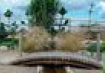 Zagospodarowanie ogrodu