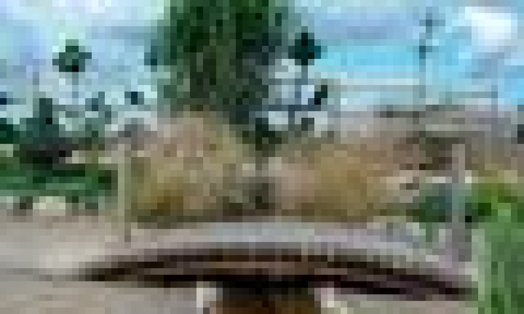 Zagospodarowanie ogrodu